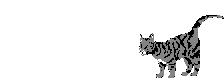 cat06